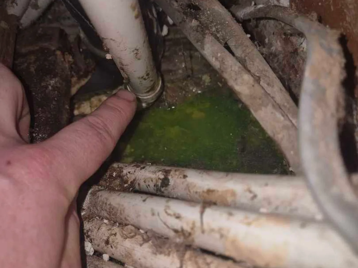 Green tracer dye pooling in the void beneath the utility room floor at the waste pipe joint
